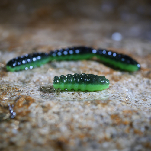 MICRO TROUT GRUB S 3 x 16 mm REDBASS - BLACK/GREEN