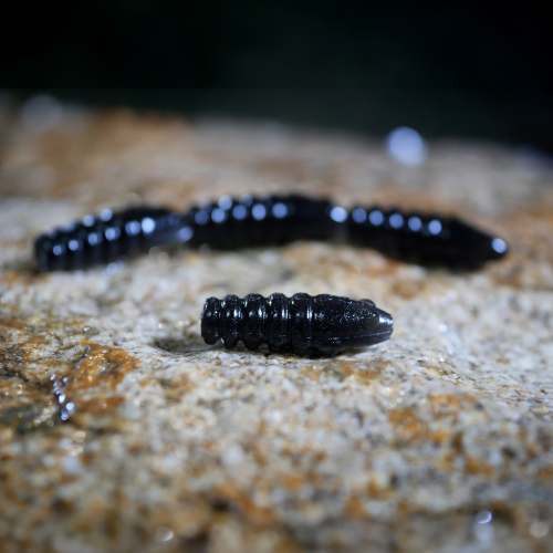 TROUT GRUB X 3 x 33 mm REDBASS - DARK BLACK