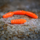 SIGNAL ORANGE - UV COLOR