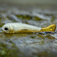 Mikrosmáček REDBASS SSF 1B - 40 mm