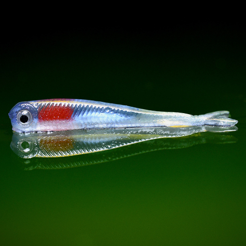 Mikrosmáček REDBASS SSR 1 - 45 mm - SSR1 4