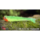SSR 1B - Fluo/Green RH