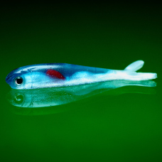 Mikrosmáček REDBASS SSR 2 - 55 mm