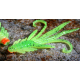 Fluo/Green RH - UV COLOR