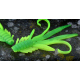 Fluo/Green - UV COLOR