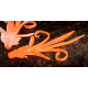 Orange/Silver - UV COLOR