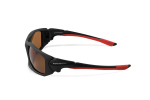 Polarizační brýle Delphin SG REDOX