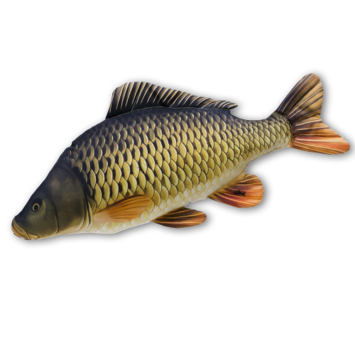 Polštář - Kapr šupináč - 100 cm - Kapr šupináč - 100 cm