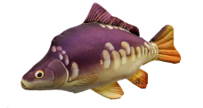 Polštář - Kapr lysec mini - 35 cm