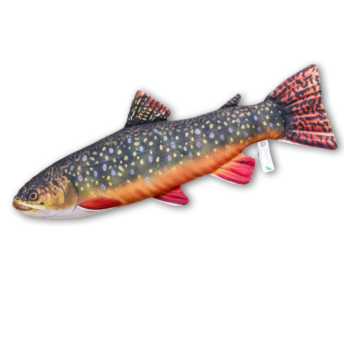 Polštář - Siven americký mini - 35 cm - Siven americký - 35 cm
