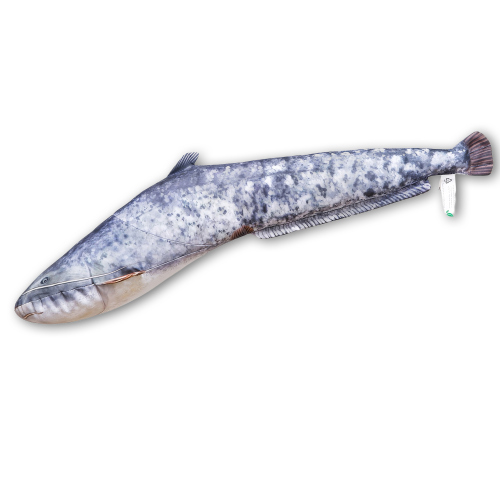 Polštář - Sumec velký - 62 cm - Sumec velký - 62 cm