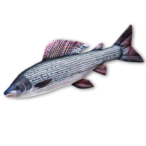 Polštář - Lipan - 65 cm - Lipan - 65 cm