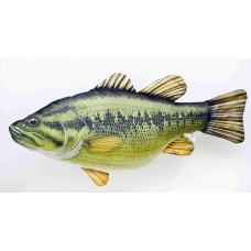 Polštář - Black Bass - 67 cm