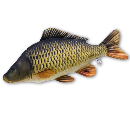Polštář - Kapr šupináč mini - 36 cm -