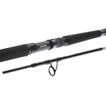 Přívlačový prut Daiwa BG Deep Sea