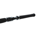 Přívlačový prut Daiwa BG Big Game Travel