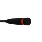 Delphin Wild Spin C.I.T.
