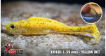 Yellow RGT