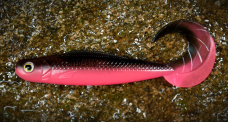 Twister REDBASS KIXTER L - 100 mm