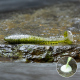 BLISTR 4 ks - OLIVE/SILVER +0 Kč