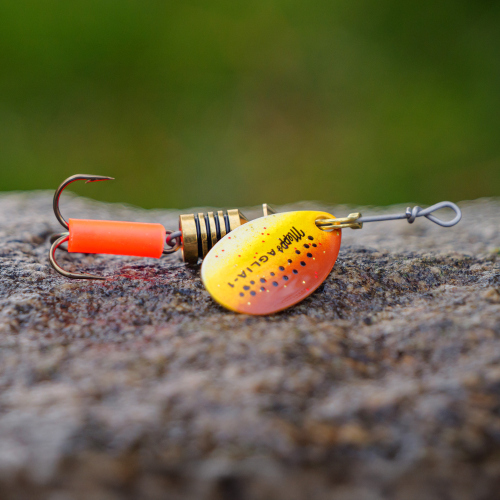 Rotační třpytka MEPPS Aglia Trout 1 - Color: TR