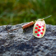 Color: gold/red