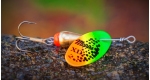 Color: FT
