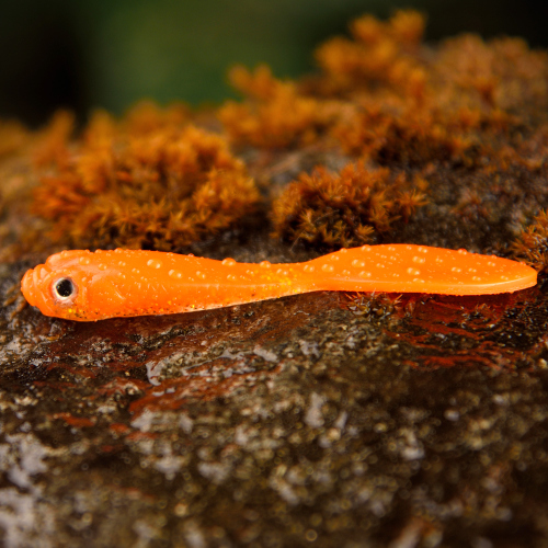 Smáček REDBASS ALS - 76 mm - ALS - ORANGE G - UV COLOR