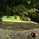 SIGNAL YELLOW G - UV COLOR