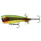 Green Gold Red Tail