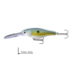Blue Perch