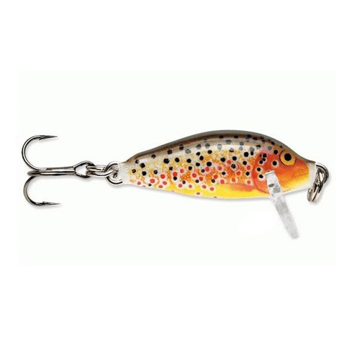 Wobler jednodílný Count Down 01 RAPALA 2,5 cm - Color: TR