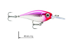 Color: PCL