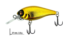 Wobler Biggie 37 DD River2Sea