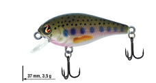 Wobler Biggie 37 SD River2Sea