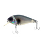 Color: 05 - Abalone Shad