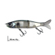 Color: Abalone Shad