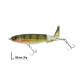 Color: Perch
