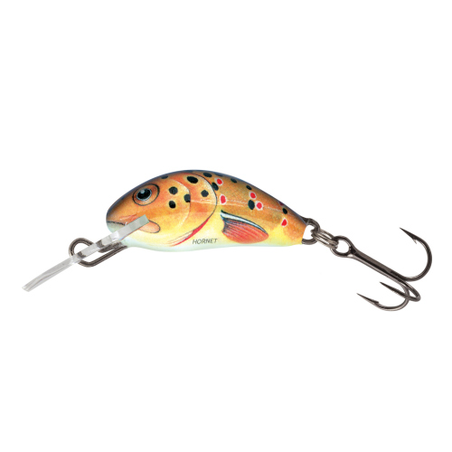 Wobler Hornet SALMO 2,5 cm - Color: TROUT