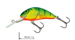 Color: HOT PERCH