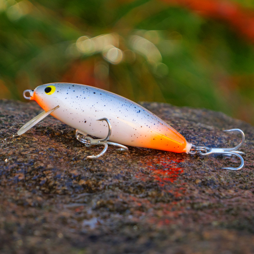 Wobler 3STAN Fatty 70 shallow - Color: FTFA
