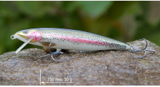 Wobler 3STAN Fat minnow 150 King Shallow