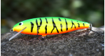 color: FT